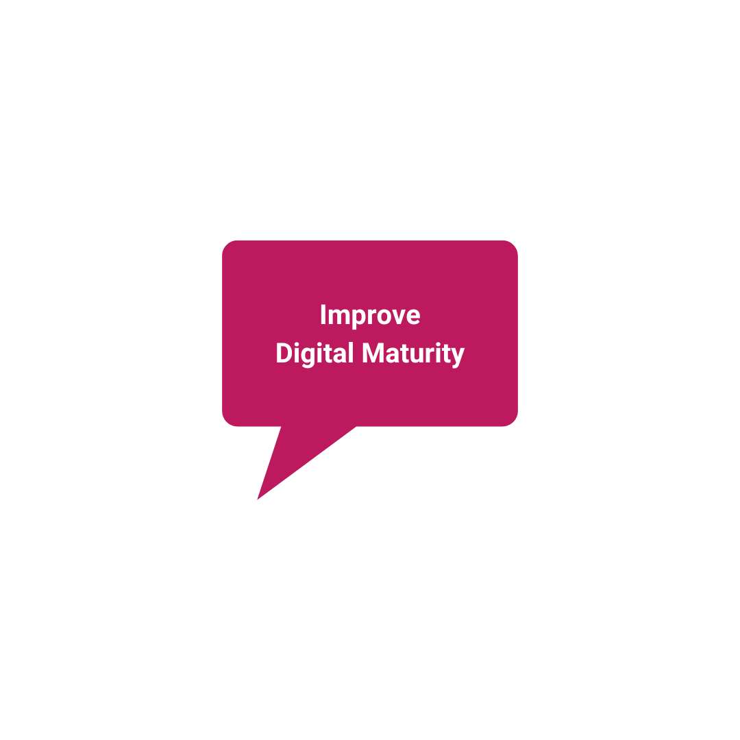 Improve Digital Maturity