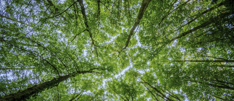 rpc_TTA-sustainability-report-header (1)