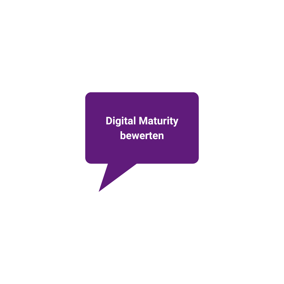 Digital Maturity bewerten