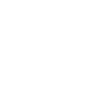 p concept p concept