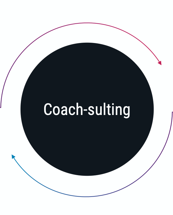 rpc-coach-sulting