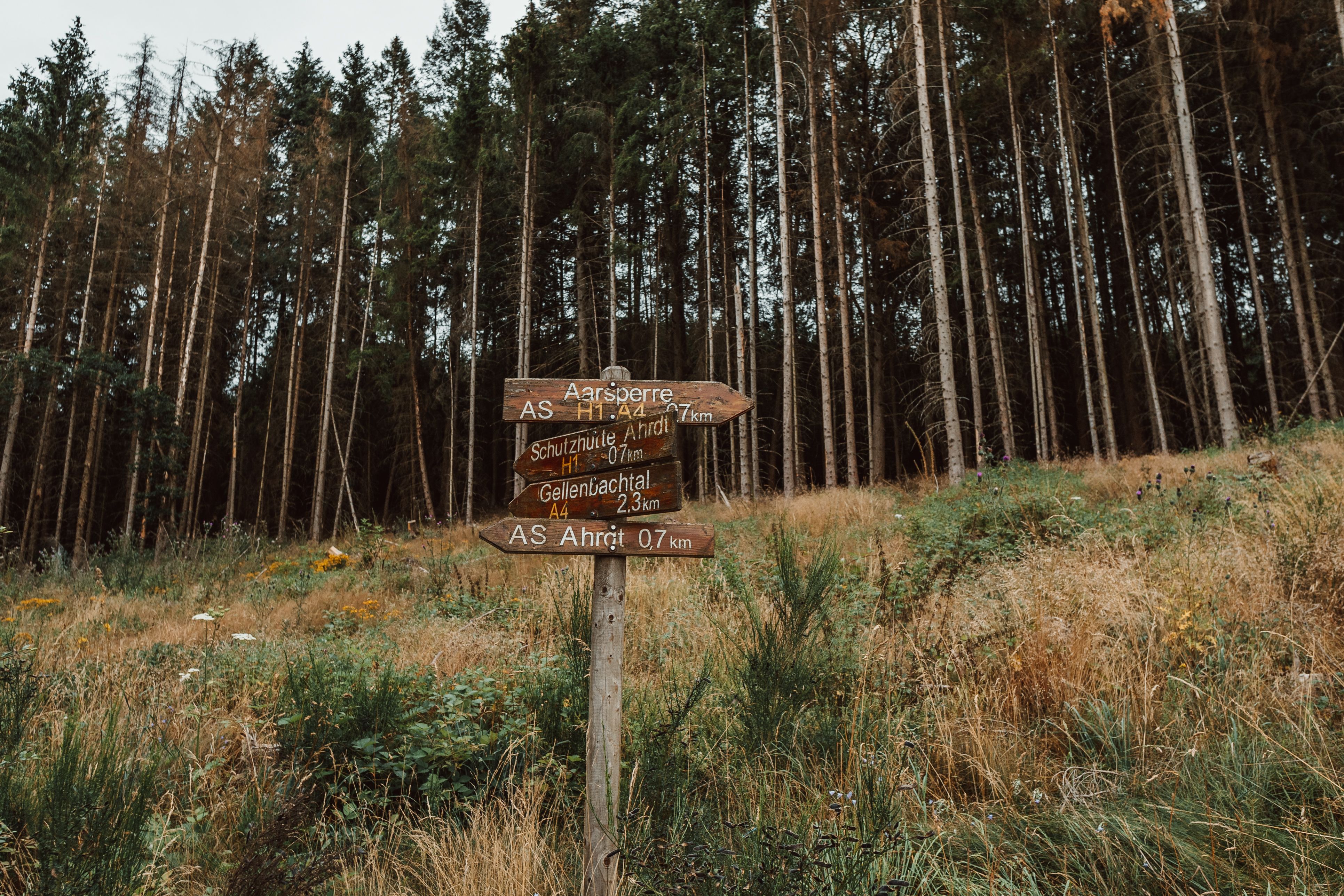 Warum Change Management Teil jeden Projekts sein sollte Die Digitalisierung treibt den Wandel immer stärker und die Unternehmen müssen darauf reagieren. Nur wie?