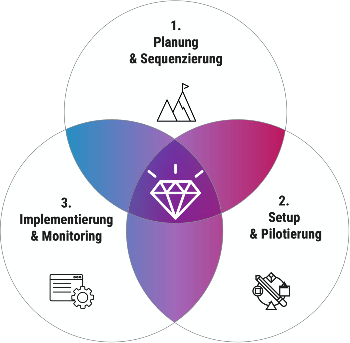 Rollout - nachhaltige Implementierung